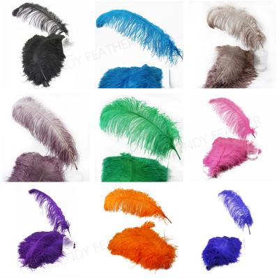 China Party Wedding Performance Decoration Carnival Costume 18-20inch (45-50cm) Dyed Ostrich Feather for sale