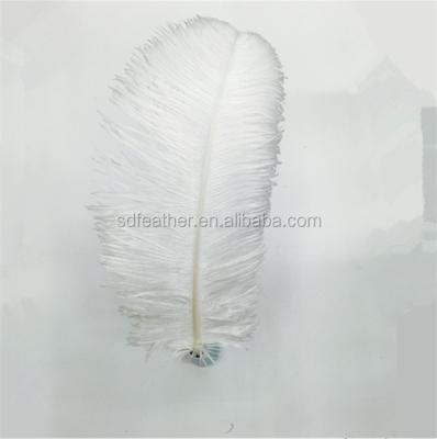 China Party Wedding Performance Decoration 50-55cm High Quality Natural Artificial Decorative White Ostrich Feather for sale