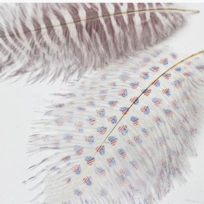 China Wholesale Decorations Feather Suppliers Printed Ostrich Feathers Decoration For Carnival Ostrich Feathers Feather Wedding for sale