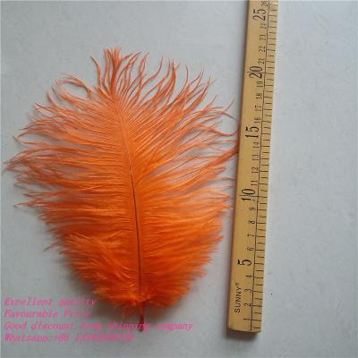 China Carnival costumes wholesale 20-25cm colorful ostrich feather feathers fast delivery for sale