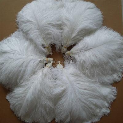 China Carnival Costumes 35-40cm Great Quality White Ostrich Feathers Wedding Decoration for sale