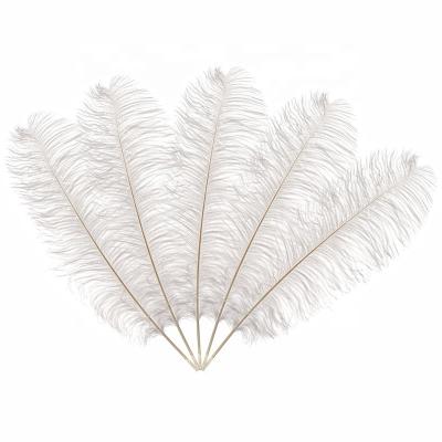 China Party Wedding Performance Decoration Natural Real Ostrich Feathers White For Christmas Decoration Tree Costume Headpieces Wedding Centerpiece for sale