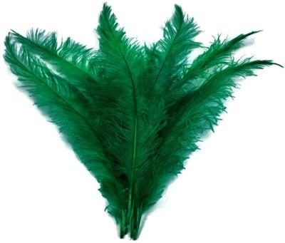 China Masks Emerald Green Ostrich Spads Large Wing Feathers Costume Party Supplier for sale