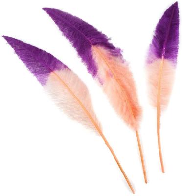 China Ostrich Nandu Tipped Feathers - colorful decor party wedding performance decoration feather for carnival costume, Boho party multicolored neon hippie decorations for sale