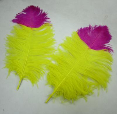 China Party wedding performance decoration 2-tone white dyed ostrich feathers in multiple colors. for sale