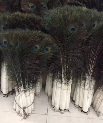 China Peacock Feather 70-80cm Decor Peacock Feathers Wholesale Feather Suppliers Natural Peacock Feathers For Sale Cheap for sale