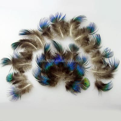 China Dress Hat Decoration Peacock Blue Feather Feather Accessories Natural Peacock Feather for sale