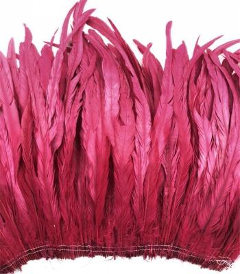 China Longest Chicken Feather Wholesale Price Rooster Hull Stringed Tail Feathers For Sale Cheap for sale