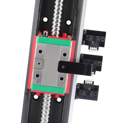 China High Precision Linear Motion High Accuracy Motorized Module With Bearing Block for sale