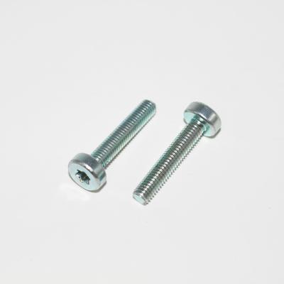 China Fixed HEX Torx Head Screw Importers Type for sale