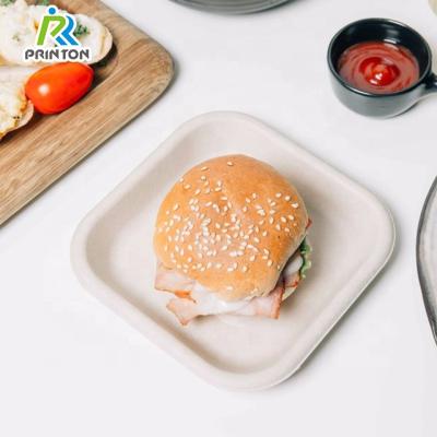 China Disposable Compostable Packaging Tray Biodegradable Disposable Dish for sale