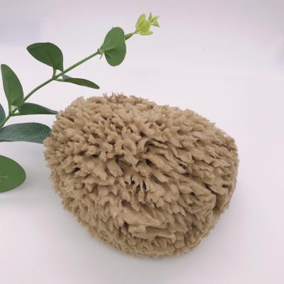 China All Natural Wholesale Natural Bath Sponge Children Soft Silk Cleaning Mini Honeycomb Sea Sponge for sale