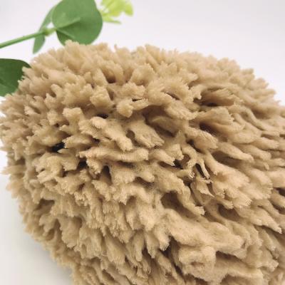 China All Natural Wholesale High Quality Bath Exfoliating Foam Sea Sponge Body Bath Cleaning Sponge For Skin Care for sale