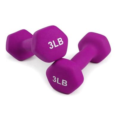 China Cast Iron +Neoprene Gym Equipment Exercise Neoprene Dumbbell for sale