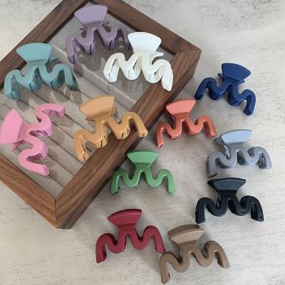 China Hair Accessories Shapes Wholesale Large And Small Korean Plastic Matte Hair Clips Hair Accessories For Women for sale