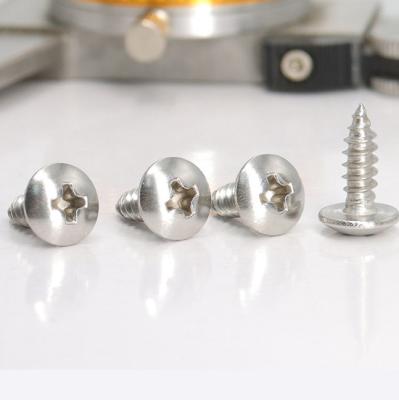 China Large Tam3~M6 Flat Tail Head Nail And Screw Bolts Nail And Wholesale Stainless Steel Umbrella Head for sale