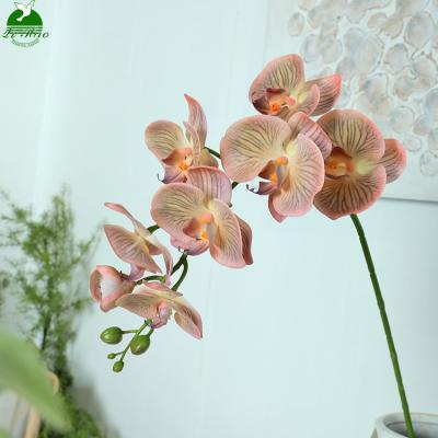 China Other OEM Real Touch Orchid Flower Phalaenopsis Orchid Plants Stem Orchid Latex Real Touch for sale