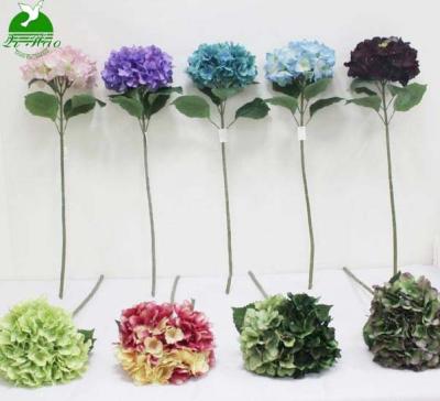 China Others 2021 preserved artificial hydrangea flower hydrangea decoration hydrangea dry blue green ball for sale