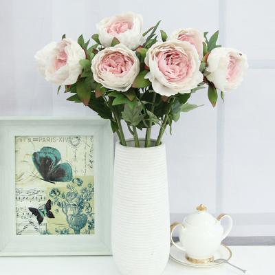 China The other GUANGZHOU QIHAO Ted Bakerpure Peony for sale