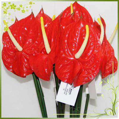 China Artificial Flower Plastic Anthurium Plant Leaves For Home Decor And Wedding Decoration for sale