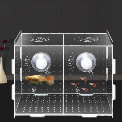 China Eco-friendly Acrylic Breeding Box Small Egg Fish Spawner Box Isolation Aquarium Fish Birth Room for sale