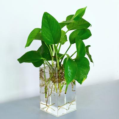 China Eco-friendly Fashion Acrylic Flower Tabletop Flower Vase for sale