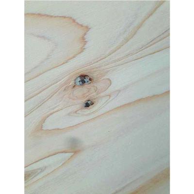 China Traditional larch veneer plywood for sale