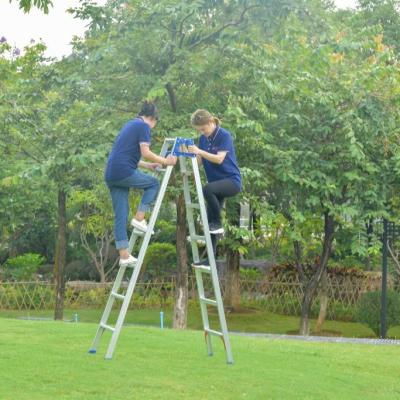 China Folding Ladders 5 6 7 8 Step Dual Use Universal Lock Hinge Step Aluminum Folding Ladder for sale