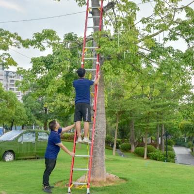 China Folding Ladders 2 Section Step Insulated Aluminum Telescopic Extension Fiberglass Ladder for sale