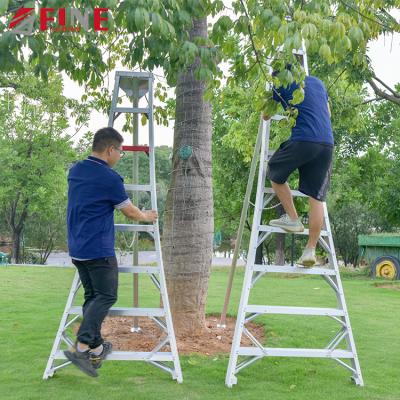 China Folding Ladders Welding Wide Standnting Srparable Adjustable Support Stage Fruit Picking Ladder for sale