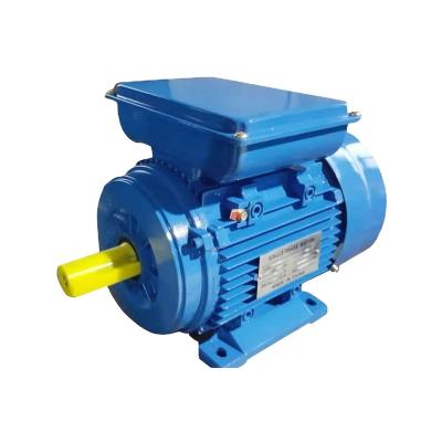 China YL 5hp 230v single phase totally enclosed motor for pressure washer for sale