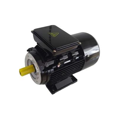 China 3HP 2800rpm Single Phase 220V Electric Motor Totally Enclosed Motor for sale