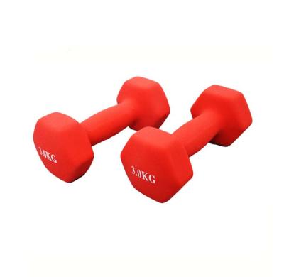 China Portable Fitness Training Dumbbell Dumbbell Cast Fitness Equipment Colorful Bell for sale