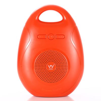 China Halloween Home Theater Portable PA System Speaker Home Phone Function New Product Wireless BT Sound Box for sale