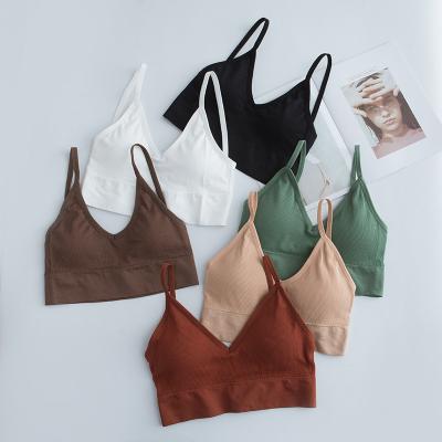 China Wholesales Sexy Breathable Female Streetwear Sports Bra Yoga Sports Bra Seamless Sleeveless Tops Knit Vest for sale