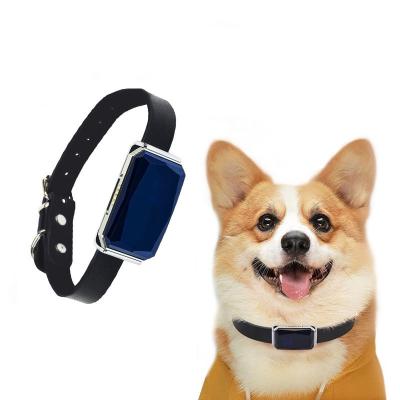 China Waterproof Mini Pet Tracker Gps World Smallest Dog Collar Tracking Long Pet Battery Life 50*29*12MM Cat Gps for sale