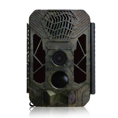 China APP Setting Bird Singing Device Mini Night Vision Trail 4K Camera CCTV Surveillance Outdoor Wildlife Hunting Camera for sale