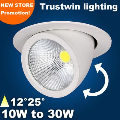 China AC85-265V 20W 360 degree Adjustable LED spot downlight  rotatable LED trunk light for sale