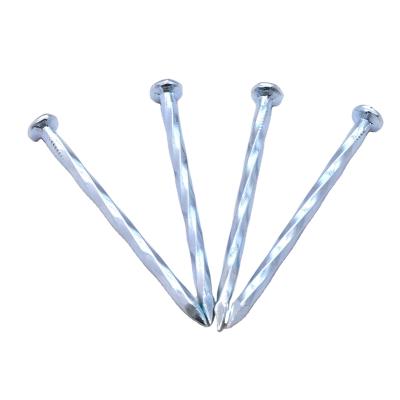 China Electro Flat Galvanized Concrete Steel Nails Stainless Steel Nails for sale