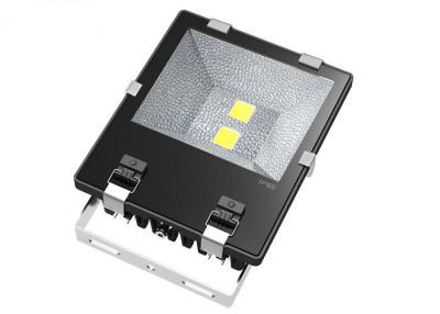 China 120 Watt Outdoor LED Flood Light Safety Meanwell Driver For Supermarkets for sale