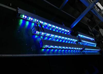 Chine 24 projecteurs lumineux superbes du joint LED de mur de W LED 3 ans de garantie à vendre