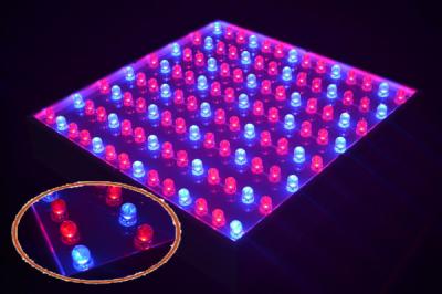 China 28W LED grow panel with 5050 SMD with red / blue 6 square meters for sale