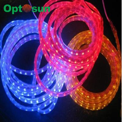 China Warm White Bright SMD 5050 Led Strip Light 12v 60 Leds 5 Meters Per Roll for sale