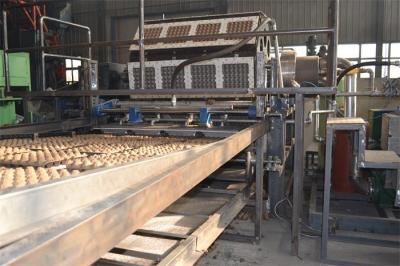 China Large Capacity Waste Paper Pulp Moulding Machine For Egg Packaging Carton Making for sale