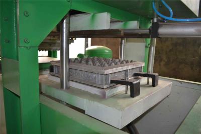 China Low Capacity Paper Pulp Molding Reciprocating Type small Egg Tray Machine for sale