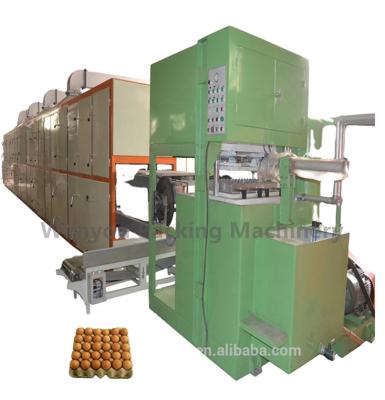 Cina Frutta asciutta Tray Egg Tray Equipment di Disposable Paper Molded del produttore in vendita