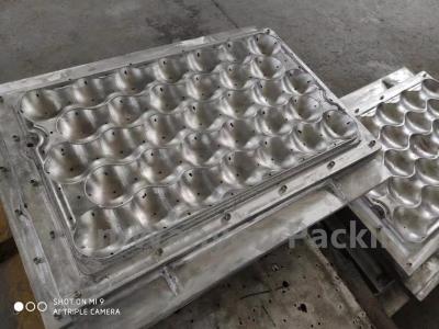 China Molded Pulp Container Small Paper Pulp Molding Machine With Aluminum Molds for sale