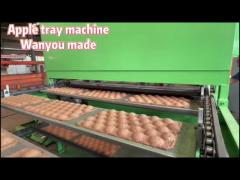 Fruit Tray / Egg Tray / Egg Carton Making Machine 20KW-150KW Easy Operation