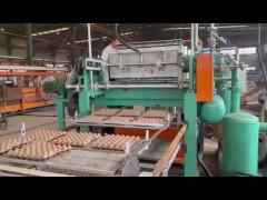 paper egg tray making machine pulp molding machine for small business