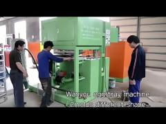 Semi Automatic Egg Tray Manufacturing Machine 2 Years Warranty Easy Install